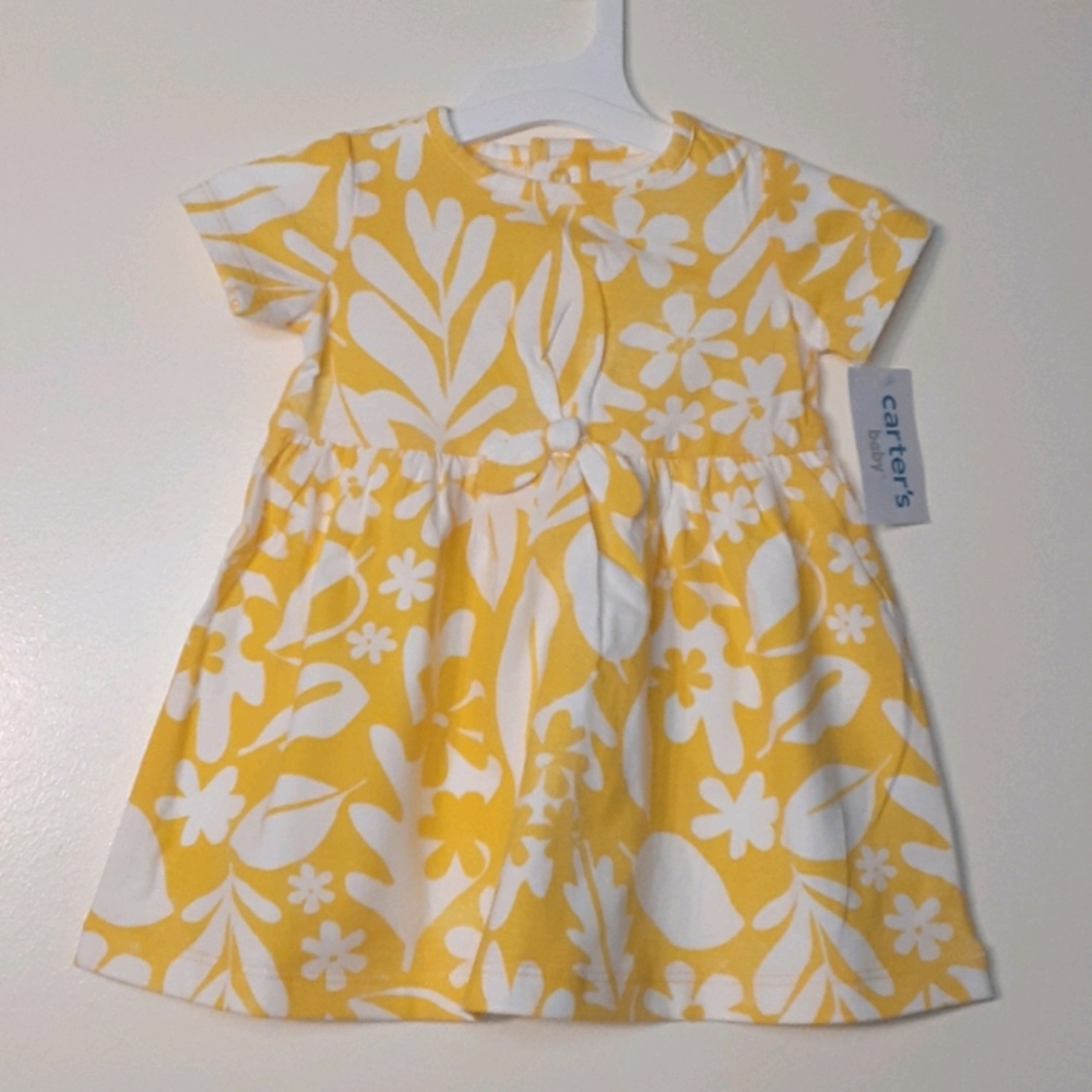 Carters Baby Girl Floral Dress. Size 6 mos & 9 mo